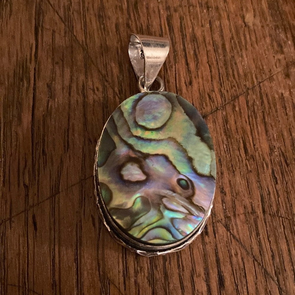 Abalone Shell Natural Gemstone Pendant NWOT